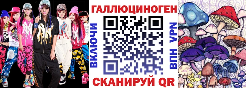 Галлюциногенные грибы Psilocybe Ставрополь